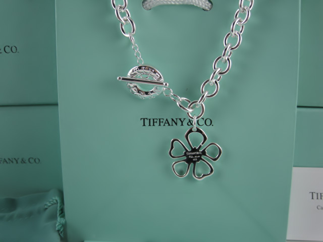 Tiffany&Co Necklaces 127